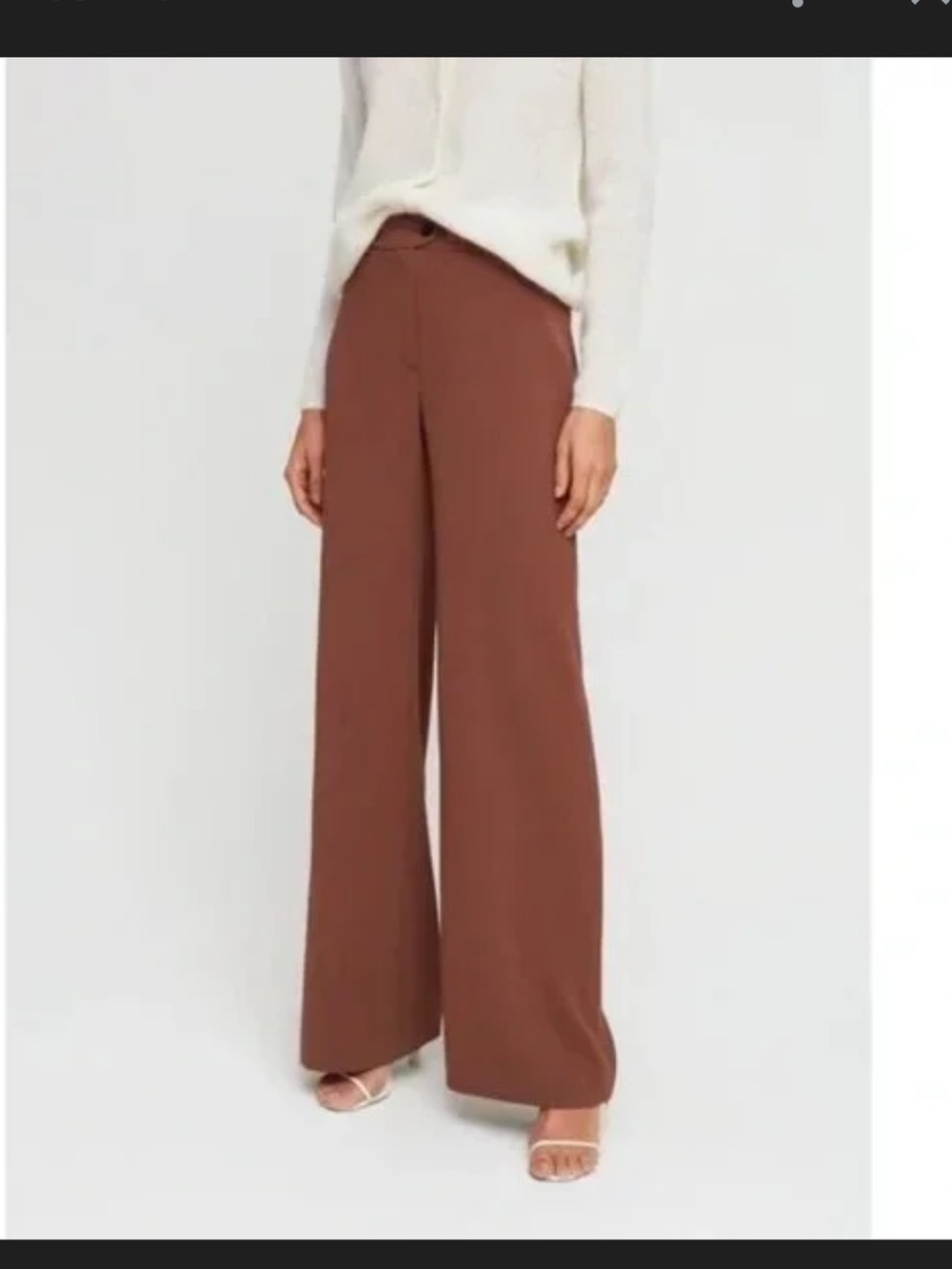 Aritzia Wide-Leg High-Rise Pants — Chestnut Brown